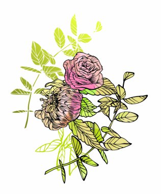 Çiçek kompozisyon. Pembe çiçek illüstrasyon. Tam boyutlu raster resim çiçek.