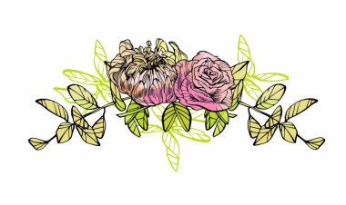 Çiçek illüstrasyon. Botanik atrwork. Çiçek çizilen illüstrasyon el.