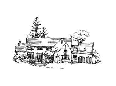 Ağaçların ve bitkilerin vektör çizimi. Elle çizilmiş vektör manzara.