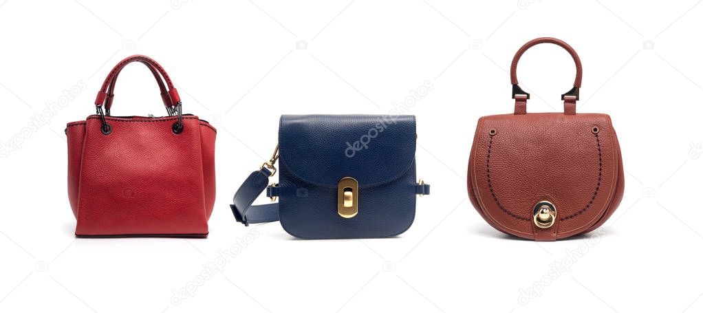 group of women leather handbags isolated on white background