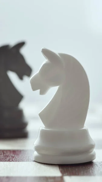 White chess horse close up on a black horse in a blur. The concept of victory. Chess is an strategy and intelligence board game.