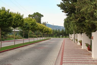 Otelin tropikal ağaçların arasındaki boş yol girişinin yatay görüntüsü. Salgın nedeniyle iş yasağı.