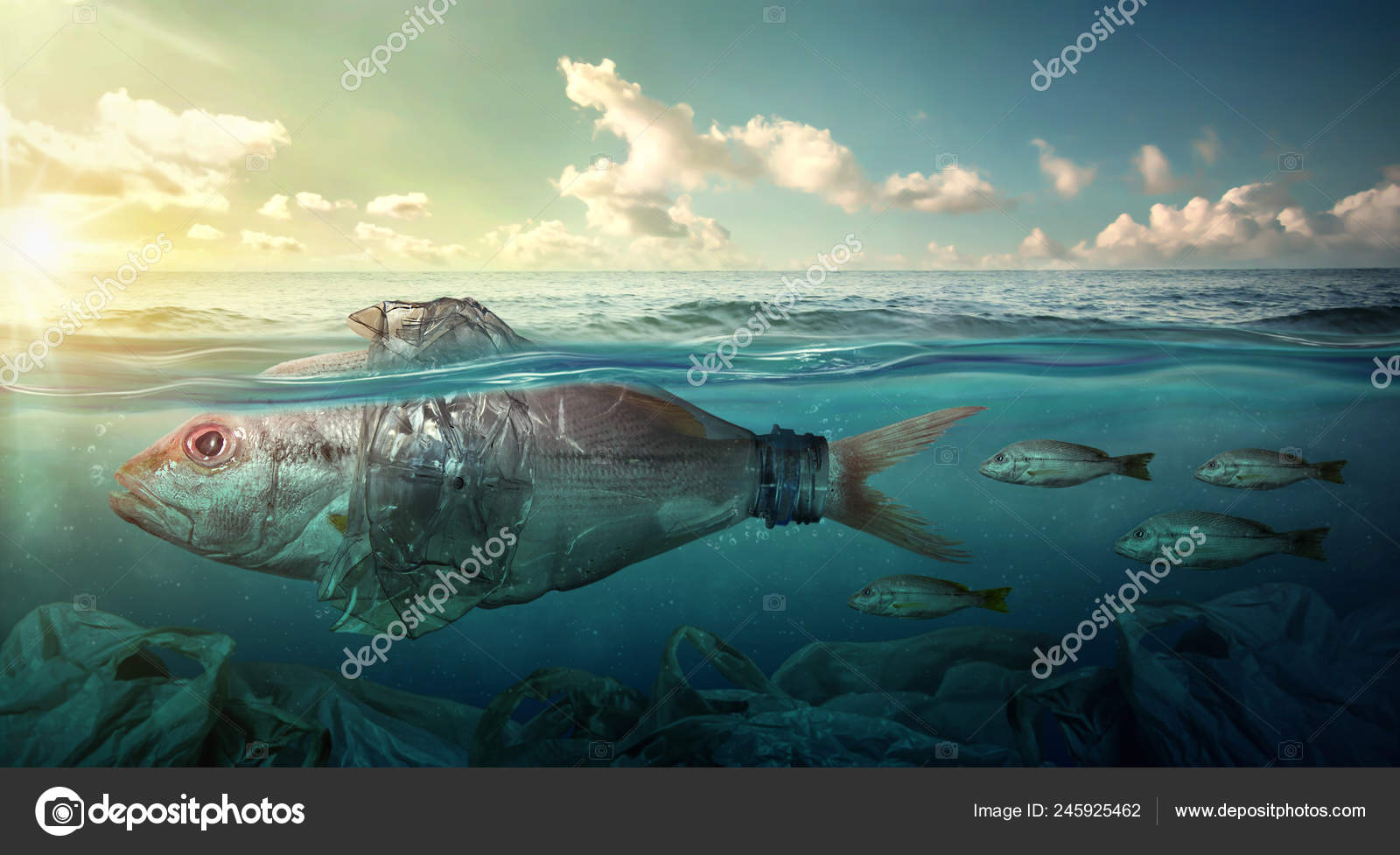 13 332 Ocean Pollution Stock Photos Images Download Ocean Pollution Pictures On Depositphotos 13 332 Ocean Pollution Stock Photos Images Download Ocean Pollution Pictures On Depositphotos
