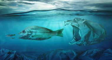 Balık plastik torba okyanus kirliliği arasında yüzer. Çevre kavramı
