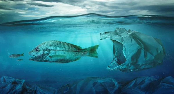 Fish Swims Plastic Bag Ocean Pollution Environment Concept — Stock Photo, Image