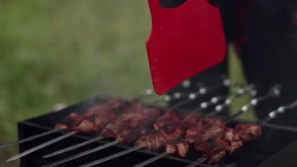 Мясо поджарилось на гриле — стоковое видео