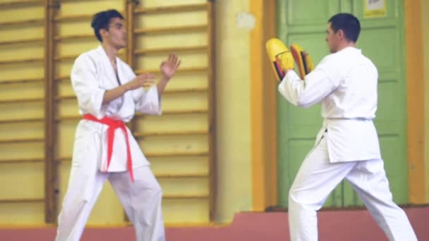 Rusko, Novosibirsk, 15 srpna 2018 A skupina lidí cvičí karate tahy uvnitř. Vytrvalostní trénink v karate — Stock video