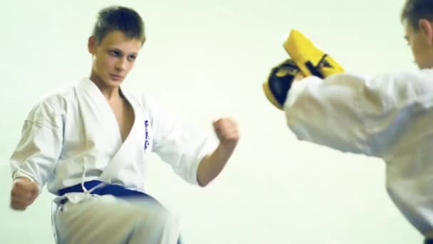 Russia, Novosibirsk, August 15, 2018 A group of people practicing karate strokes indoors. Endurance training in karate — Stock Video