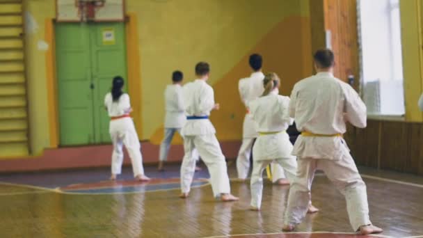 Ryssland, Novosibirsk, 15 augusti, 2018 A grupp av människor som utövar karate stroke inomhus. Uthållighetsträning i karate — Stockvideo