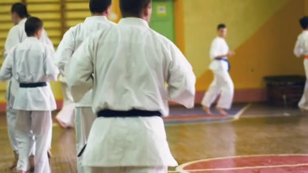 Rusko, Novosibirsk, 15 srpna 2018 A skupina lidí cvičí karate tahy uvnitř. Vytrvalostní trénink v karate — Stock video