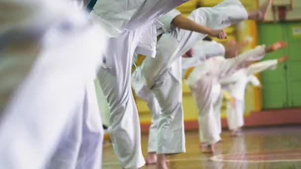 Rusia, Novosibirsk, 15 de agosto de 2018 Un grupo de personas que practican golpes de karate en el interior. Entrenamiento de resistencia en karate — Vídeos de Stock