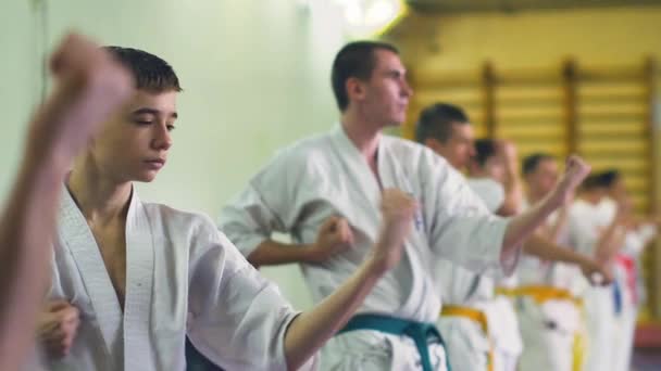 Rusia, Novosibirsk, 15 de agosto de 2018 Un grupo de personas que practican golpes de karate en el interior. Entrenamiento de resistencia en karate — Vídeo de stock