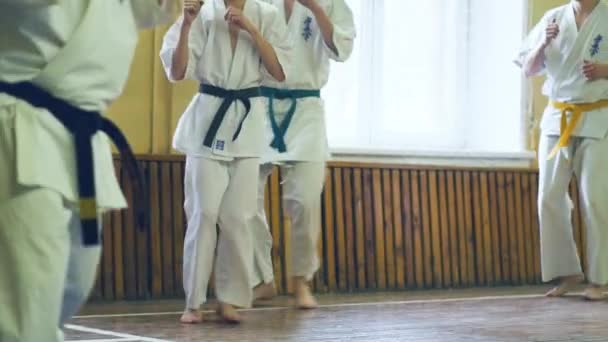 Ryssland, Novosibirsk, 15 augusti, 2018 A grupp av människor som utövar karate stroke inomhus. Uthållighetsträning i karate — Stockvideo