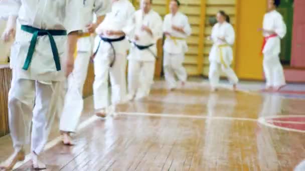 Russia, Novosibirsk, 15 agosto 2018 Un gruppo di persone che pratica colpi di karate in casa. Formazione di resistenza nel karate — Video Stock