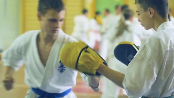 Ryssland, Novosibirsk, 15 augusti, 2018 A grupp av människor som utövar karate stroke inomhus. Uthållighetsträning i karate — Stockvideo