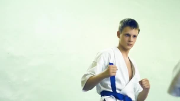 Russland, nowosibirsk, august 15, 2018 eine gruppe von menschen, die karate-schläge drinnen üben. Ausdauertraining im Karate — Stockvideo