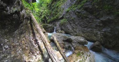 Summer landscape in a Dolomite stream