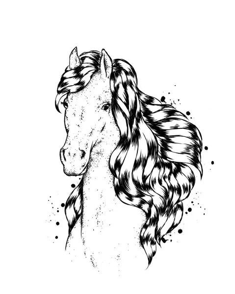 Beau Cheval Illustration Vectorielle — Image vectorielle