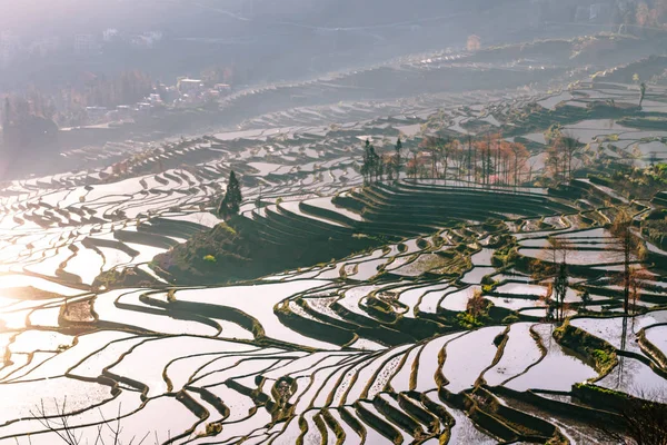 Terraced rice fields of YuanYang, China in the morning — стоковое фото