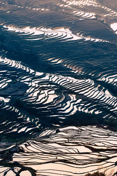 Terraced ορυζώνες της Yuanyang, Κίνα το πρωί — Φωτογραφία Αρχείου