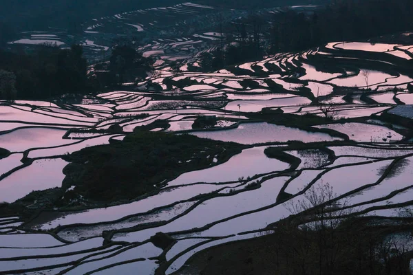 Terraced ορυζώνες της Yuanyang, Κίνα το πρωί — Φωτογραφία Αρχείου