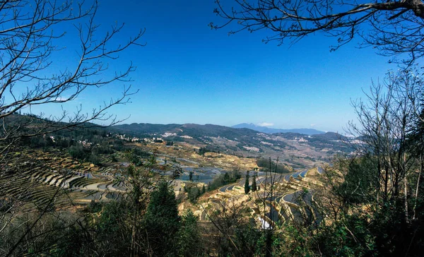 Campos de arroz com terraço na colina com céu azul brilhante — Fotografia de Stock