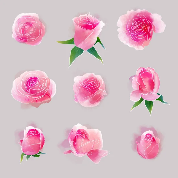 Όμορφη ακουαρέλα ροζ τριαντάφυλλα διάνυσμα σύνολο — Διανυσματικό Αρχείο