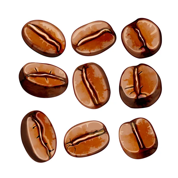 Aislado acuarela granos de café vector conjunto — Vector de stock