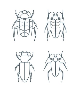 Bir dizi basit taslak böcek simgesi, düzenlenebilir felç