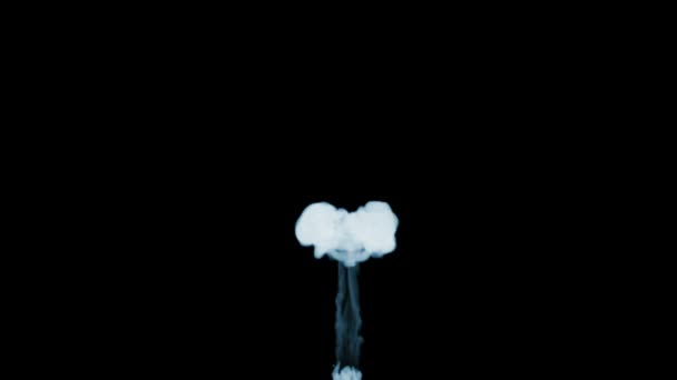 3d Render Of Smoke In Slow Motion Isolated On Black