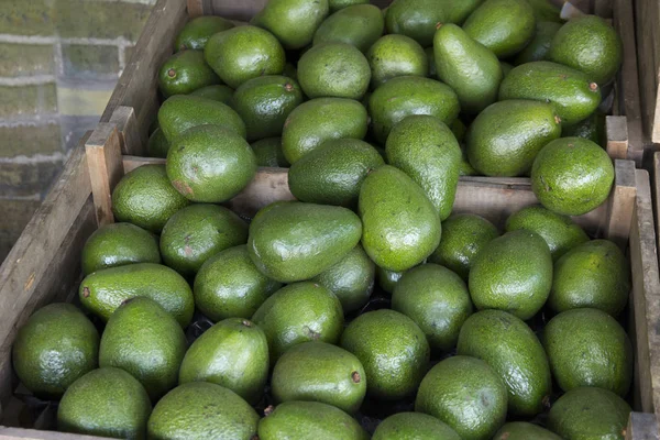 Abacates Para Venda Caixas Madeira Uma Banca Mercado — Fotografia de Stock