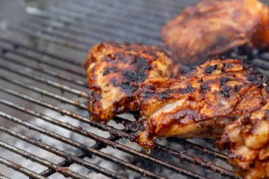 Bir barbekü üzerinde pişirildikten Marine edilmiş tavuk parçaları