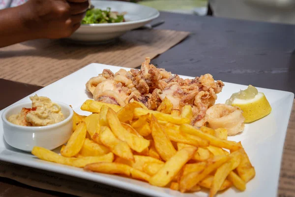 A plate of fried calamari and chips with s pot of hummus