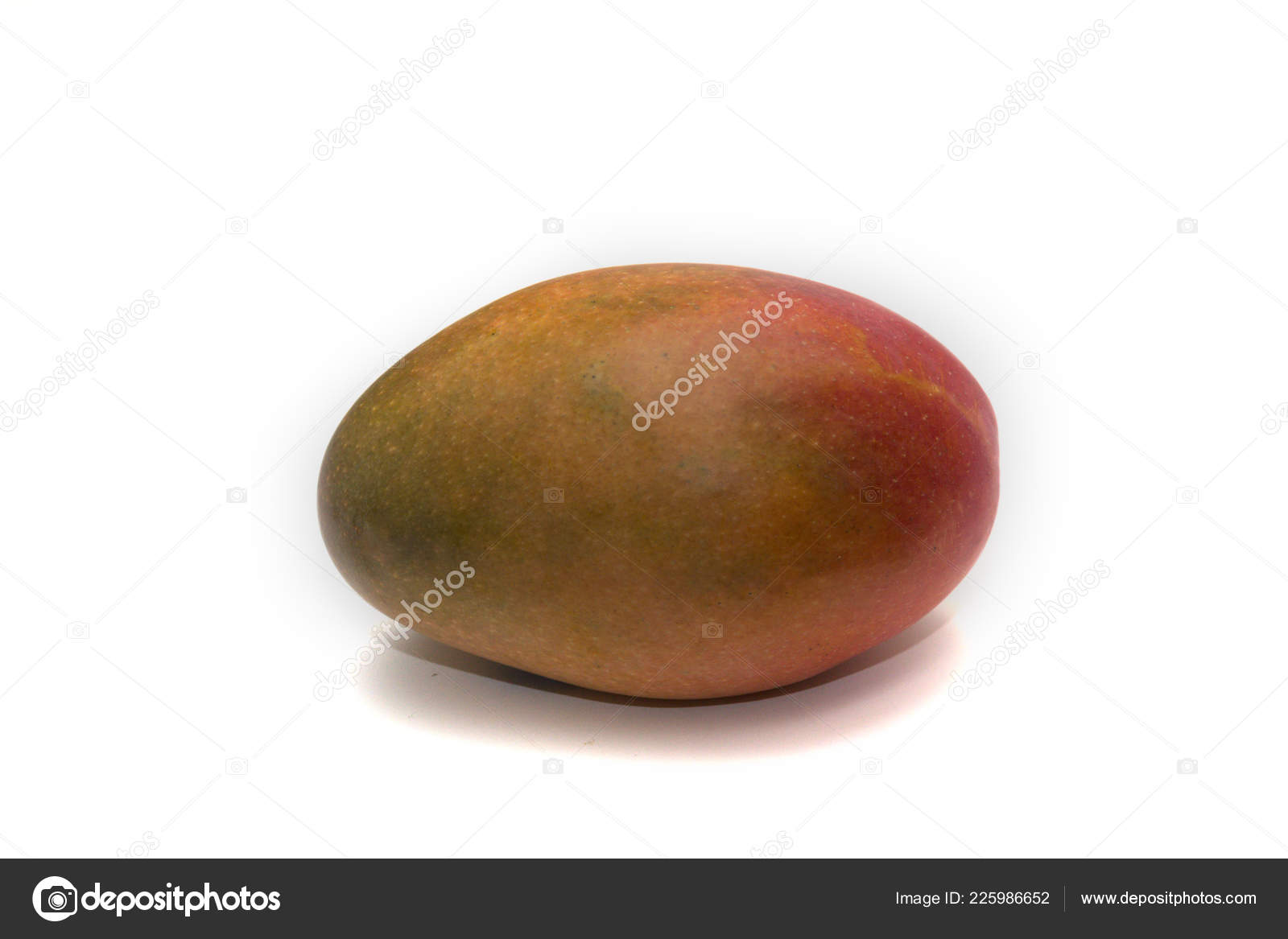 Single Ripe Mango Mangifera Indica Isolated White Background Stock ...