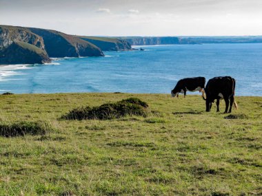 Bedruthan adımları, Cornwall, İngiltere