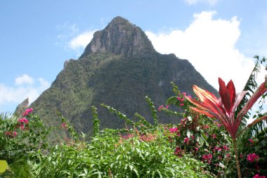 Cam, Saint Lucia