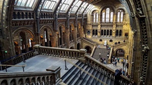 Londra - 18 Ekim 2016: Doğal Tarih Müzesi, Londra, İngiltere Hintze koridorda Gotik mimarisi