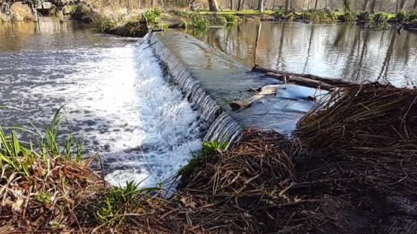 Zeitlupe Des Wassers Das Einem Bach Über Felsen Fließt — Stockvideo