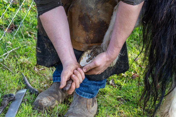 Hoefsmid werken aan de hoeven van een Shetland pony — Stockfoto