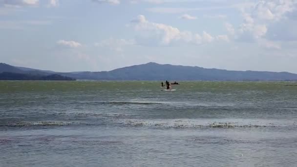 Turistas Que Utilizan Paddleboards Pedales Lago Trasimeno Frente Playa Sualzo — Vídeos de Stock