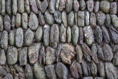 Geleneksel Cornish drystone duvar