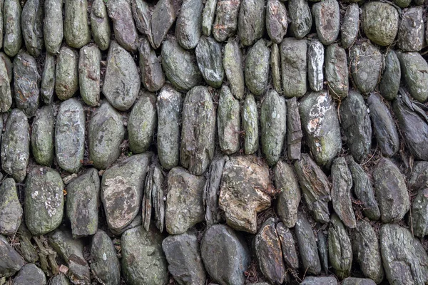 Geleneksel Cornish drystone duvar