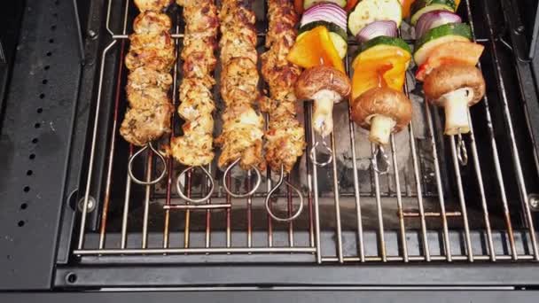 Meat and vegetable kebabs cooking on a charcoal barbecue — Stock Video