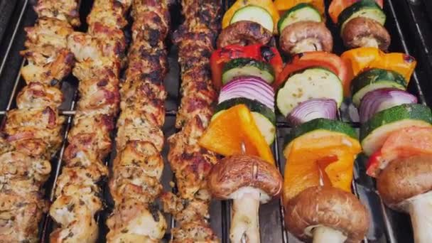 Real Time Zoom Chicken Kebabs Vegetable Kebabs Cooking Charcoal Barbecue — Stock Video