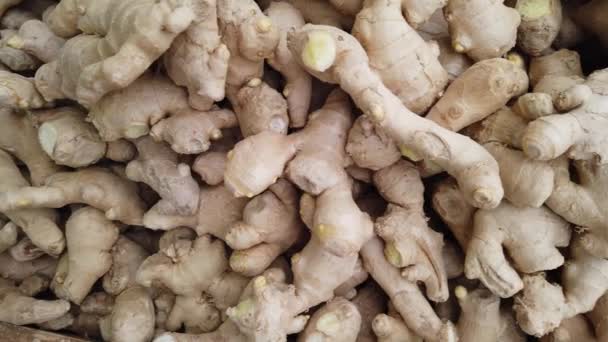 Slow motion tracking shot of root ginger, Zingiber officinale, on a market stall — Stock Video