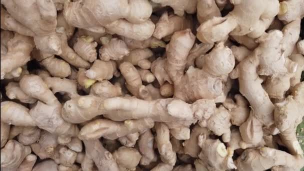 Slow motion tracking shot of root ginger, Zingiber officinale, on a market stall — Stock Video