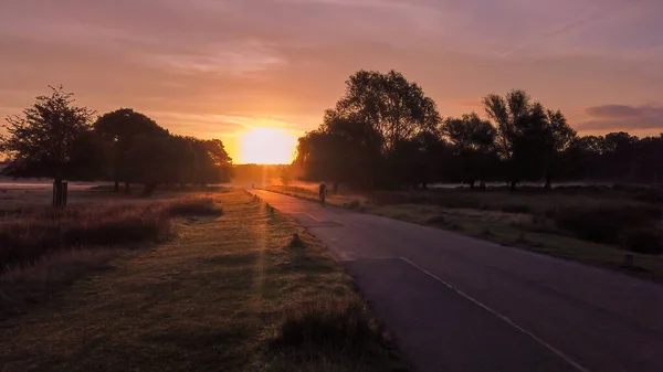Ποδηλασία κατά την ανατολή του ηλίου μέσω Richmond Park, Surrey, Αγγλία — Φωτογραφία Αρχείου