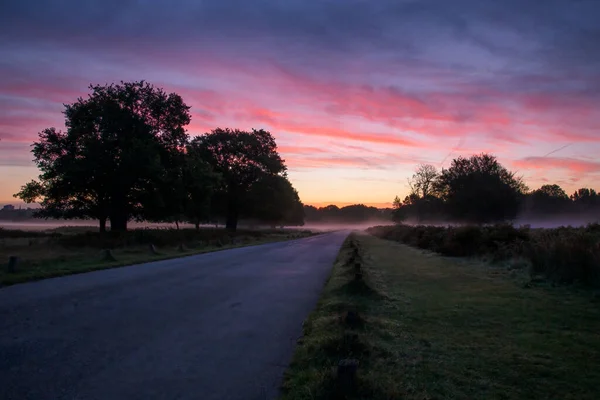 Salida del sol en una mañana brumosa en Richmond Park, Surrey, Inglaterra — Foto de Stock