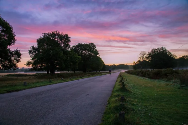 Ποδηλασία κατά την ανατολή του ηλίου μέσω Richmond Park, Surrey, Αγγλία — Φωτογραφία Αρχείου