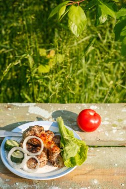 taze sebze ile ızgara tavuk budu. Bahçe piknik. Yeşil zemin üzerine.